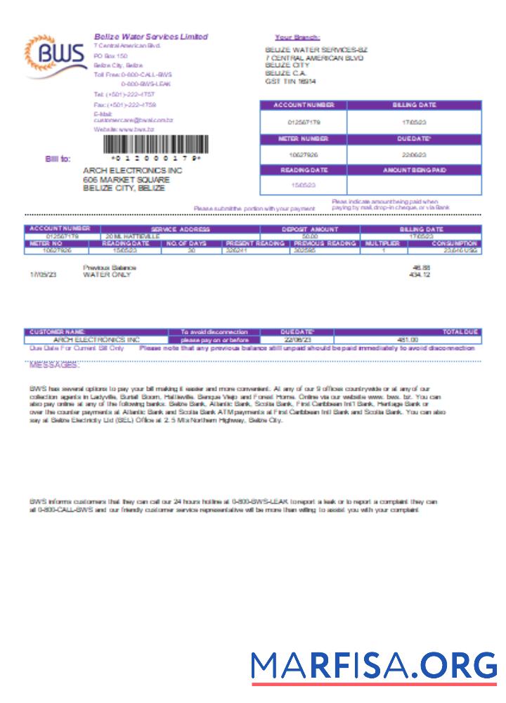 Downloadable Belize Water Services Limited utility business bill, SCR sample